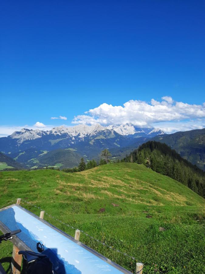 Landhaus Theresia Sankt Martin am Tennengebirge Exteriör bild
