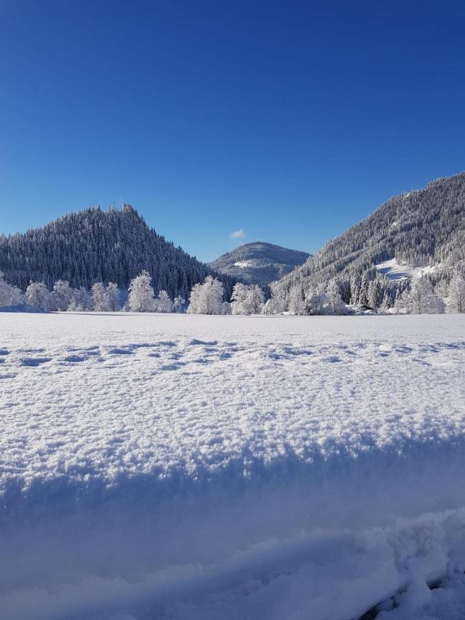 Landhaus Theresia Sankt Martin am Tennengebirge Exteriör bild